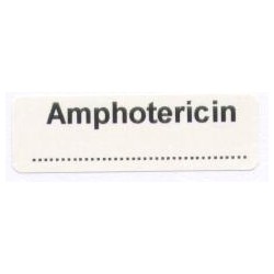 Amfoterycyna