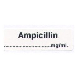 Ampicylina