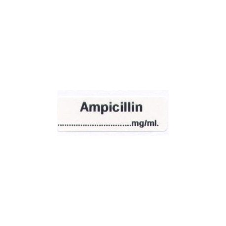 Ampicylina