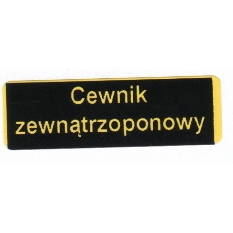 Cewnik zewnątrzoponowy