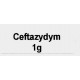 Ceftazydym